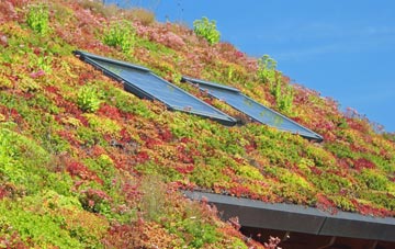 Wallisdown living roof systems
