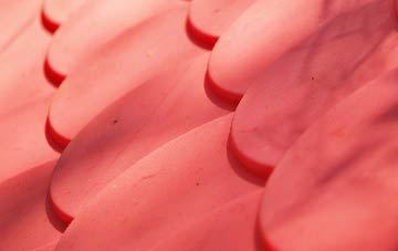 Wallisdown plastic roof costs