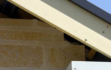 soffit repair Wallisdown