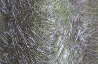 Wallisdown fibreglass roof work